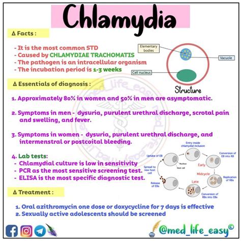Chlamydia (Nursing) .